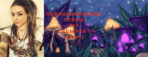гидропоника Балахна