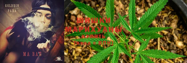 гидропоника Балахна