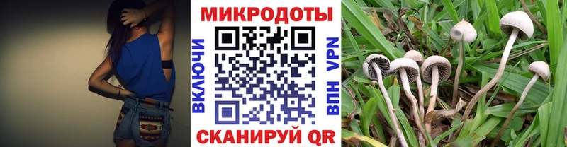 Галлюциногенные грибы Cubensis Корсаков