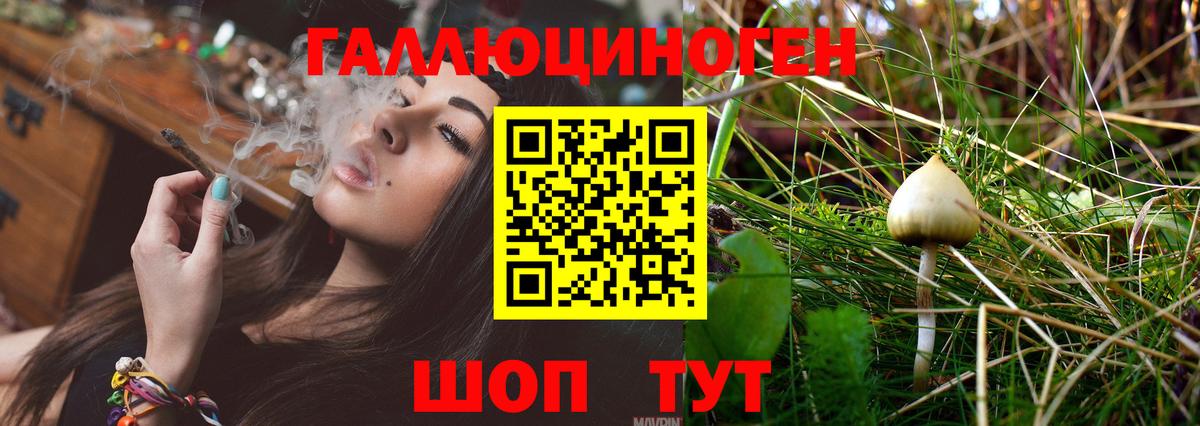 Псилоцибиновые грибы Psilocybe Корсаков